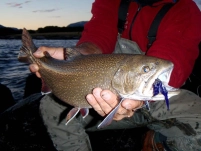 Seduced with a big zonker Seduced with a big zonker