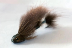 Sculpin Helmet on a tube Sculpin Helmet on a tube