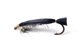 Black rafia baitfish Black rafia baitfish