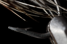 Point gone Point gone