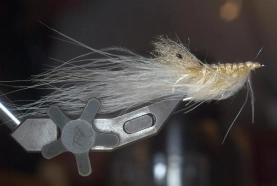 Olive monster Olive monster