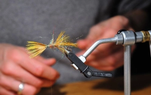 Brenda factory Brenda factory