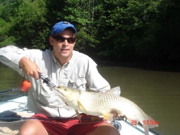 Grass carp Grass carp