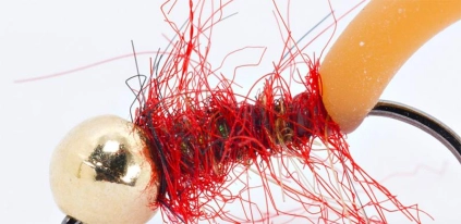 The earth worm The earth worm