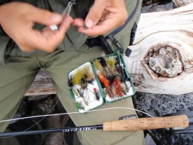 Bulky flies Bulky flies