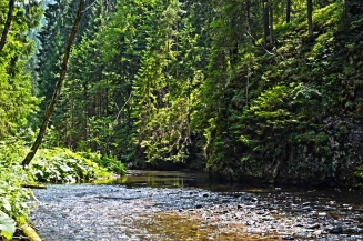 Another dream pool Another dream pool