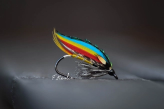 Jock Scott wet fly Jock Scott wet fly