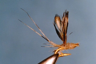 Itty Bitty Parachute #32 Itty Bitty Parachute #32