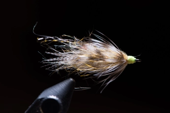 Tryggelev Terror Tryggelev Terror