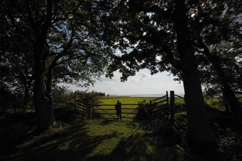 Through the forest over the field Through the forest over the field