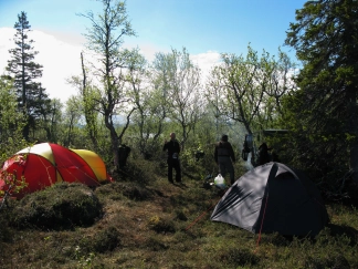The Campsite basking in the sun The Campsite basking in the sun