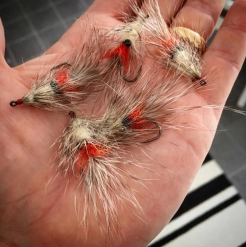 Ready for the coast Ready for the coast