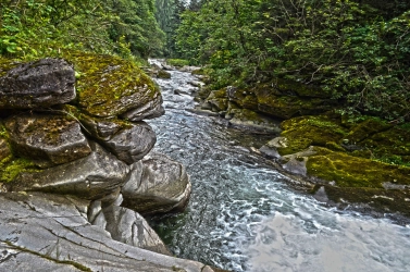 God's creation God's creation