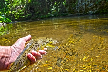 C&R is essential C&R is essential