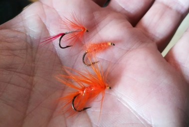 Small flies Small flies