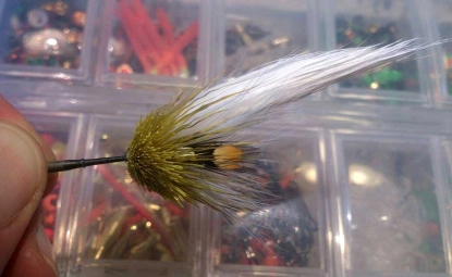 Olive and white Olive and white