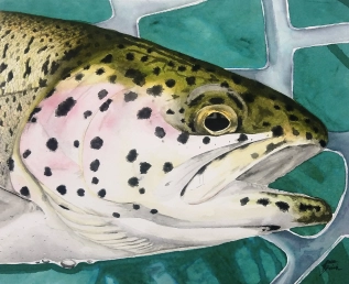 Nahwatzel Trout Nahwatzel Trout