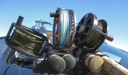 Reels of all orientations Reels of all orientations