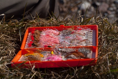 Flames and Christmas Trees Flames and Christmas Trees