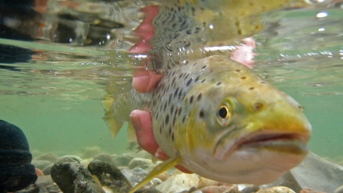 Getting away Getting away