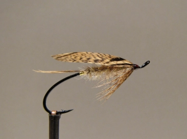 Salmon March Brown female Salmon March Brown female