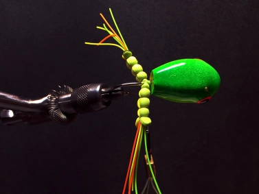 Legs tied in Legs tied in