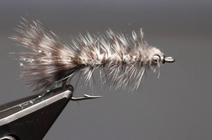 Grey Frede Grey Frede