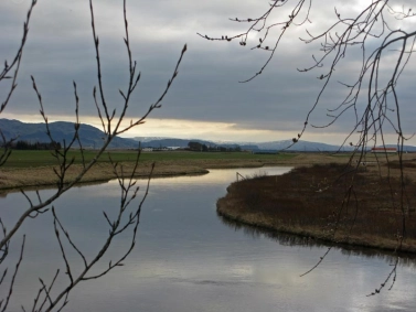 Calm stretch Calm stretch