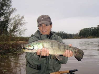 Seduced by an unweighted muddler pattern Seduced by an unweighted muddler pattern