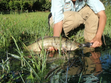 Some require a landing device Some require a landing device