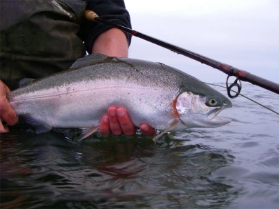 Rainbow return Rainbow return