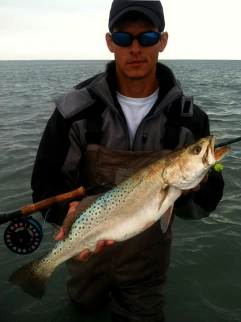 Speckled trout also like it Speckled trout also like it