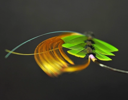 The Emerald Gem rear view The Emerald Gem rear view