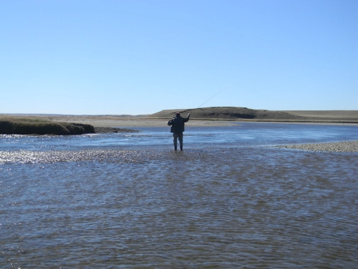 The author casting The author casting