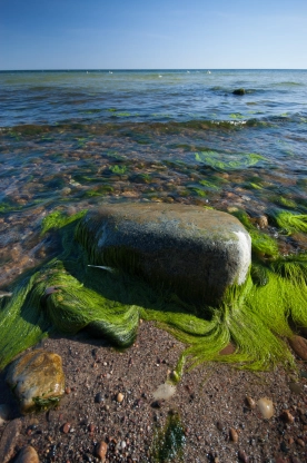 Slippery when wet Slippery when wet