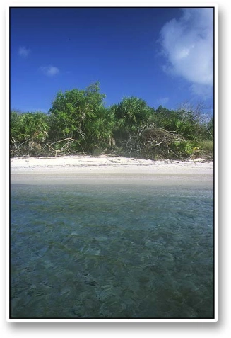 Bounty land Bounty land