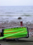 I like colors I like colors