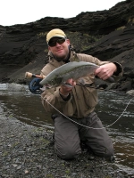 A very typical Icelandic salmon A very typical Icelandic salmon