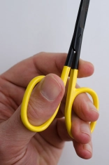 Large eyes Large eyes