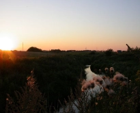 The golden hour The golden hour