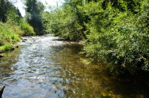 Grayling hiding ground Grayling hiding ground