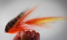 No rear hook No rear hook