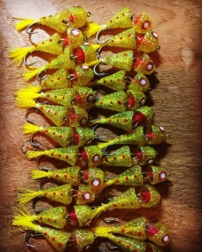 Spineless Minnows Spineless Minnows