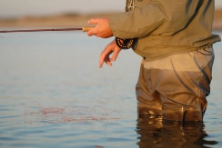 Floating Amnesia Floating Amnesia