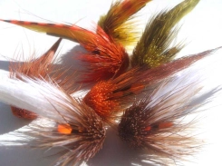 Compact Munkers Compact Munkers