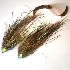 Kavorka's with and without a wiggle tail Kavorka's with and without a wiggle tail