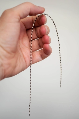 Modern, genetic hackle feather Modern, genetic hackle feather