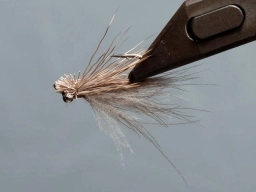 Seatrout CDC & Elk Seatrout CDC & Elk