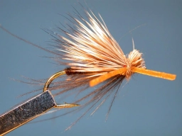 Kicking CDC & Elk Kicking CDC & Elk