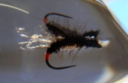 A watery view A watery view